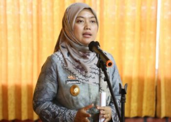 Wagub Chusnunia Ikuti Rangkaian Sosialisasi Sertifikasi dan Standarisasi Produk IKM