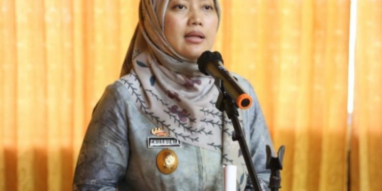 Wagub Chusnunia Ikuti Rangkaian Sosialisasi Sertifikasi dan Standarisasi Produk IKM