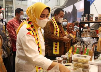 Buka Kegiatan Semarak UMKM Tanggamus 2022