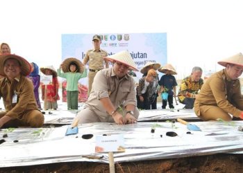 Gubernur Arinal Laksanakan Gerakan Tanam Cabai Bersama untuk Kendalikan Inflasi Pangan