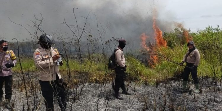 42 Personil Polres Lamtim Bantu Padamkan Kebakaran TNWK