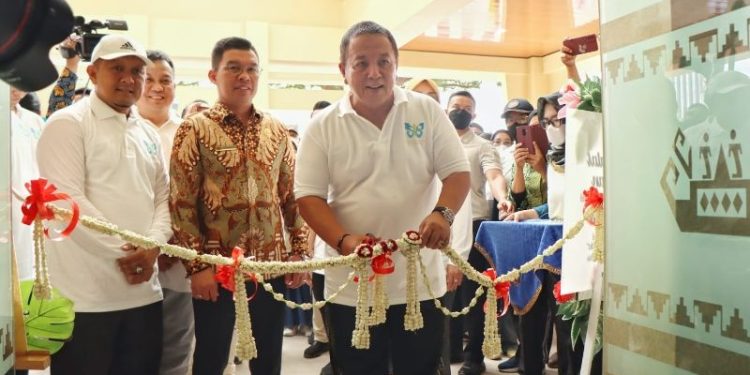 Gubernur Arinal Resmikan Layanan Eksekutif dan Fasilitas Pelayanan Kesehatan RSUD Abdul Moeloek