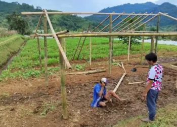 Warga Terdampak Gempa Cianjur Mulai Beraktivitas di Ladang