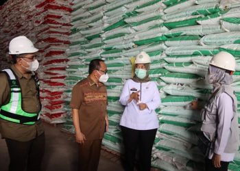 Wagub Chusnunia Melakukan Pengawasan Penyaluran Pupuk di Pelabuhan Peti Kemas Panjang