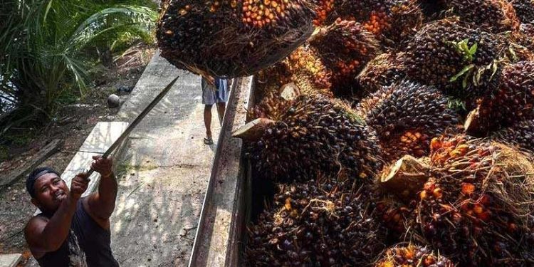 Gubri Perjuangkan DBH Sawit ke Pusat