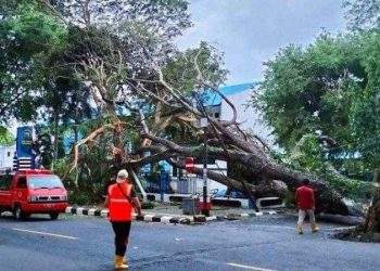 BPBD Sabang Siaga Bencana Dampak Cuaca Ekstrem