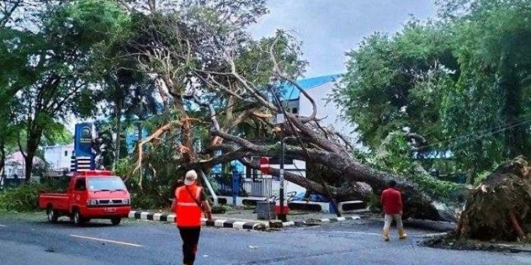 BPBD Sabang Siaga Bencana Dampak Cuaca Ekstrem