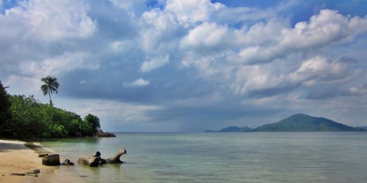 Kapolres; Pesisir Pantai Pesawaran Aman dari Buaya