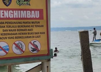 Pemkot Bandarlampung Minta Masyarakat Waspadai Buaya