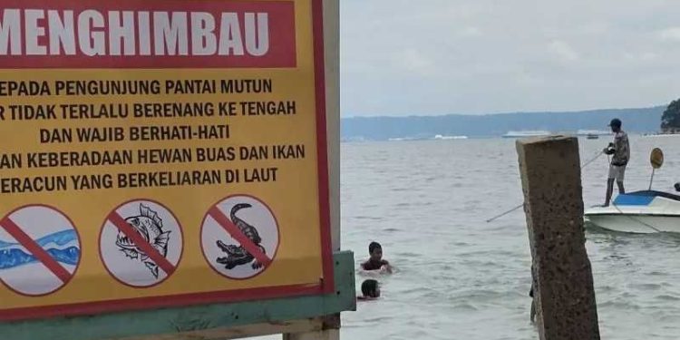 Pemkot Bandarlampung Minta Masyarakat Waspadai Buaya