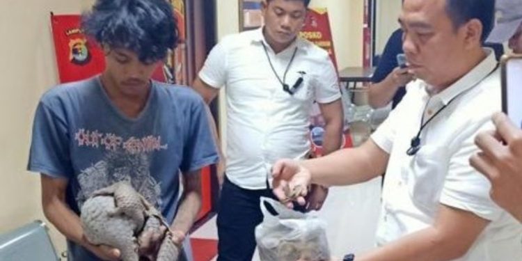 Polda Lampung Tuntaskan 3 Perkara Satwa Dilindungi