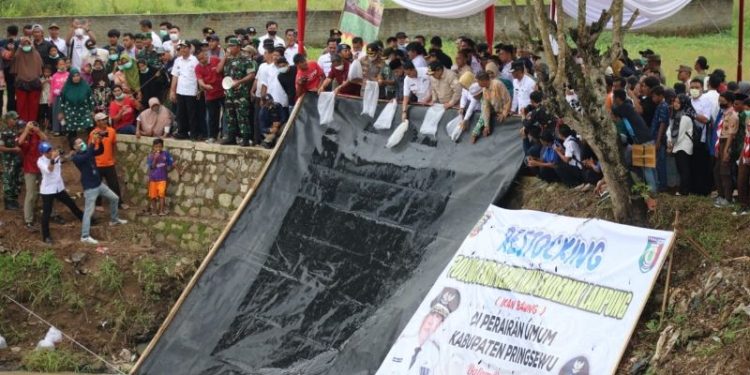 Gubernur Arinal Tebar 300.000 Benih Ikan Baung di Sungai Bulok Aliran Way Sekampung