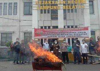 Kajari Lamsel  Musnahkan Barang Bukti Perkara Tindak Pidana