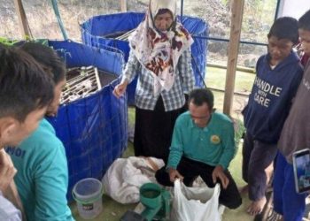BNN dan PT Timah Latih Mantan Pecandu Narkoba Bikin Pakan Lele