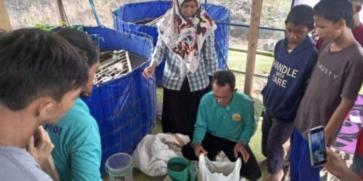 BNN dan PT Timah Latih Mantan Pecandu Narkoba Bikin Pakan Lele