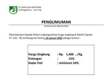 Urusan Singkong, PT Umas Jaya Bikin Aturan Tambahan 