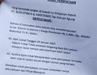 Gawat!!!, Kini Giliran PT Budi Starch & Sweetener Tidak Lagi Beli Singkong Petani