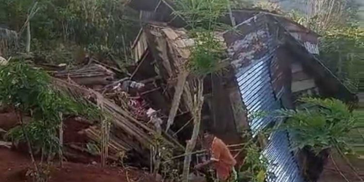 Tim Gabungan Berhasil Giring Kawanan Gajah Kembali ke Hutan, Belasan Rumah Warga Sempat Dirusak