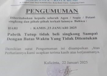 PT Teguh Wibawa Tidak Lagi Beli Singkong Petani