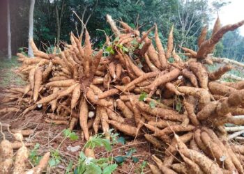 Gerakan Kementan Bukti Kehadiran Pemerintah Bagi Petani
