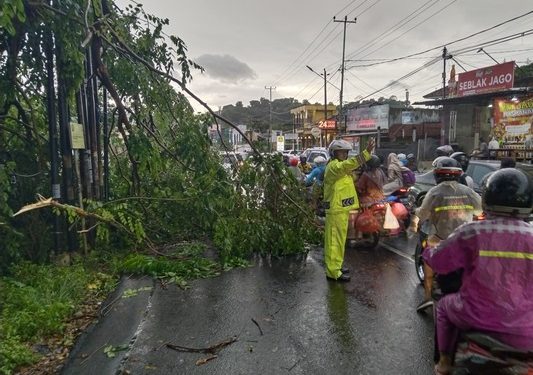 Polda Lampung Imbau Warga Waspada, Hujan Deras Disertai Angin Kencang
