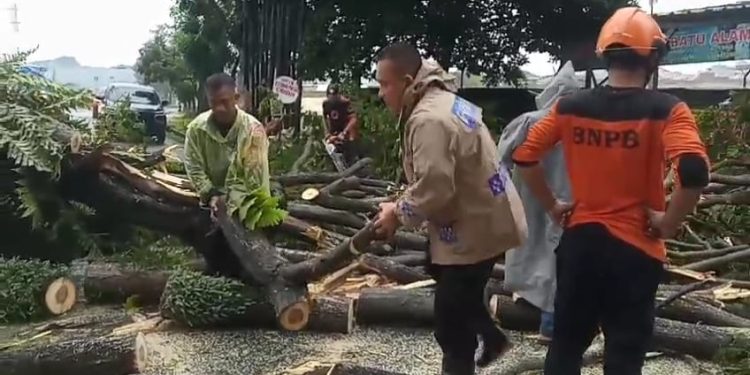 Babinsa Jagabaya III Sertu Sugiyanto Pimpin Evakuasi Pohon Tumbang di Depan Kantor Bawaslu Lampung