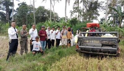 Bantu Petani, Camat Palas Turunkan Alat Panen