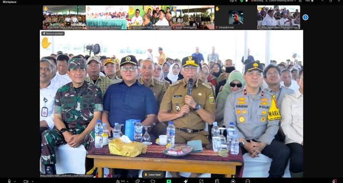 Petani Lampung Sambut Gembira Panen Raya, Pemerintah Pastikan Harga Gabah Menguntungkan