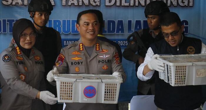 Ratusan Burung Ilegal Gagal Diselundupkan, Truk Diamankan di Pelabuhan Bakauheni