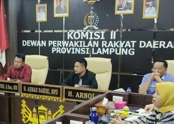 Ahmad Basuki Pimpin Pansus DPRD Atas LHP BPK