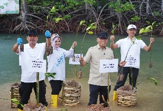 Gubernur Mirza Tanam Mangrove dan Tinjau Inovasi Appostrap di Pesawaran