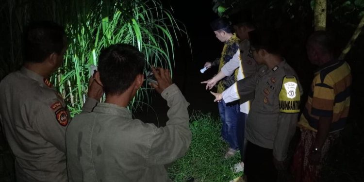Waspada Serangan Buaya di Sungai Way Semaka, Polda Lampung Imbau Warga Lebih Hati-hati