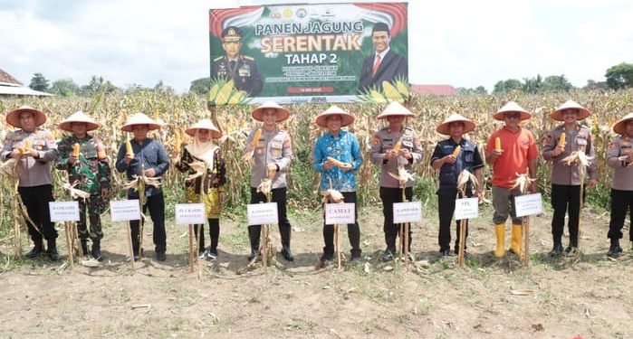 Kapolres Tulang Bawang Hadiri Panen Jagung Serentak Tahap 2
