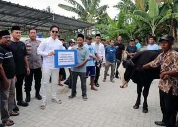 42 Sapi Kurban untuk Rakyat, Bupati Egi Langsung Turun Bagikan ke Masyarakat