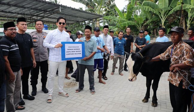 42 Sapi Kurban untuk Rakyat, Bupati Egi Langsung Turun Bagikan ke Masyarakat