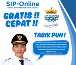 Baru! Aplikasi SIP ON, Solusi Cerdas Urus Izin Praktik Tenaga Kesehatan