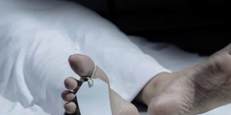 Mayat Wanita di Kebun Singkong, Diduga Korban Pembunuhan 