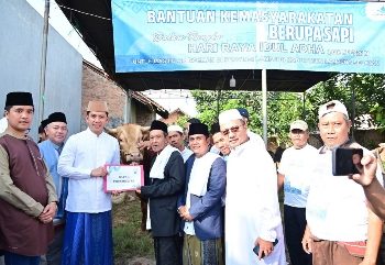 Dari Istana untuk Rakyat, Bupati Egi Salurkan Bantuan Sapi Kurban Presiden