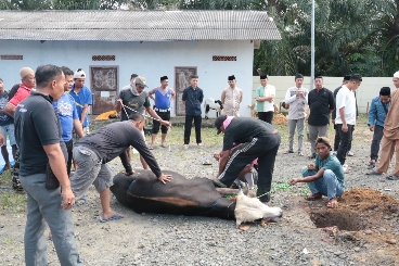 Momen Hari Raya Idul Adha 1446 H, Polres Tulang Bawang Sembelih 15 Ekor Hewan Kurban