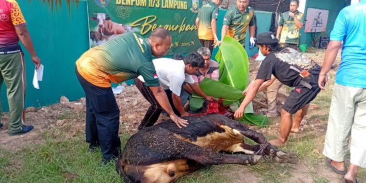 Danpom II/3 Lampung dan Masyarakat Sumur Putri Gelar Pemotongan Hewan Kurban