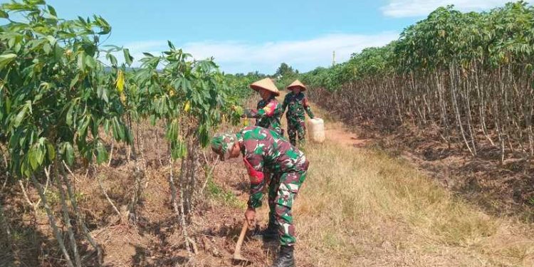 Dukung Ketahanan Pangan, Anggota Koramil 410-01/PJG Bantu Petani Bersihkan Kebun