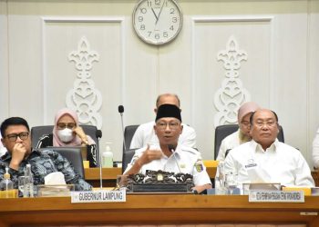 Ke DPR RI, Gubernur Mirza Perjuangkan Aspirasi Petani Singkong Lampung