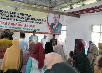 PIP : Kades Gunung Rejo Pesawaran Sampaikan Apresiasi atas Kinerja Anggota DPRD Lampung Mustika Bahrum