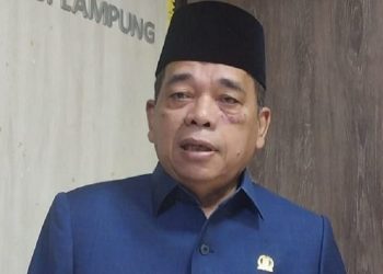 Anggota DPRD Lampung Minta Pemprov Percepat Penyerahan SK PPPK