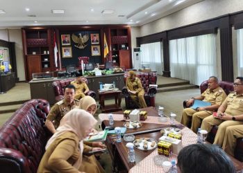 WaliKota Eva Dwiana Temui Gubernur Mirza, Jelaskan Soal SMA Siger