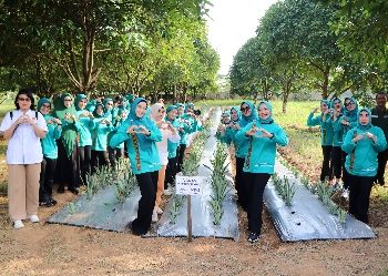 TP. PKK Provinsi Lampung dan Mitra Sepakati Percepatan Pengembangan Kawasan PKK Agropark