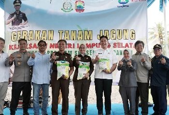 Aksi Nyata! Bupati Egi dan Kajati Tanam Jagung Bareng, Demi Ketahanan Pangan & Kesejahteraan Petani