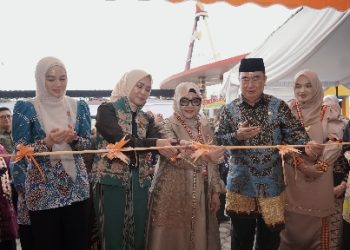 Ketua Dekranasda Provinsi Lampung Resmikan Galeri UMKM Tanggamus, Wadah Inovasi dan Promosi Produk Lokal
