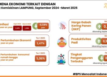 Pertumbuhan Ekonomi Lampung Triwulan 1 Tertinggi di Sumatera