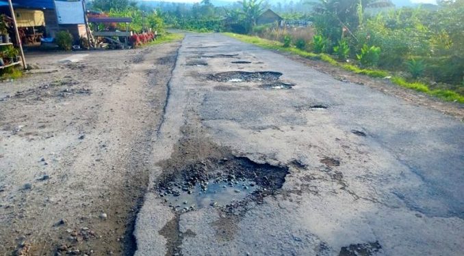 Anggota DPRD dari Fraksi Golkar: Way Kanan Dijuluki Daerah Sejuta Lubang